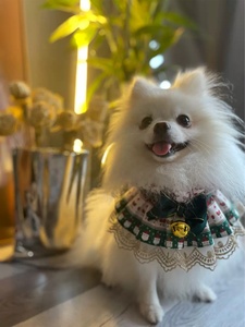 <span class=keywords><strong>Bandana</strong></span> Natalizia per Cani, Bandane a Quadri con Etichetta Personalizzata, Accessori per Cani, Prodotto per Animali Domestici, Sciarpa in Cotone per Gatti, Bavaglini di Lusso in Tweed per Cani - Product Image 5