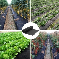 Tissu non tissé Spunbond agricole SSS/SS 97% anti-âge, anti-déchirure, pour l'ombrage et la barrière anti-mauvaises herbes en horticulture et aménagement paysager