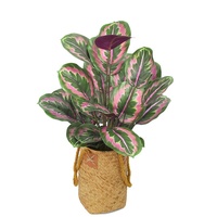 Batang Daun Calathea Buatan 3D Printing Warna Hijau Putih untuk Dekorasi Rumah dan Rangkaian Bunga
