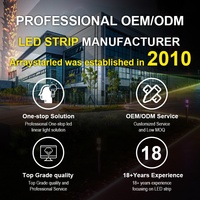 SPI numérique adressable DMX512 pixel LED fluo flex 24V couleur magique rvb RGBW silicone étanche LED néon bande lumineuse couleur de rêve