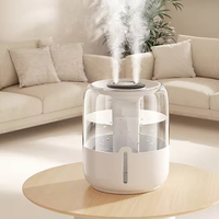 Nouveau grand volume de brouillard Nano molécules d'eau fines Double buse réapprovisionnement en eau Pure humidificateur de Purification de l'air