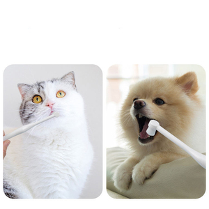 KingHon Factory Wholesale Low Moq <b>Pet</b> Products Dog Oral Cleaning Ten-thousand-bristle Toothbrush for Cat - Product Image 2