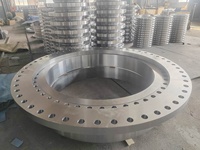 Bride de tuyauterie en acier inoxydable forgé sur mesure, usinée CNC, ANSI B16.5 Classe 150, col de soudure aveugle RF, prix usine