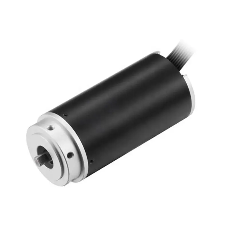 Elektrische Gereedschap Hot Sales Bldc Micro Vervangen Maxon Faulhaber Dc Motor Hoog Rendement Motor Voor Robots Blower Fans