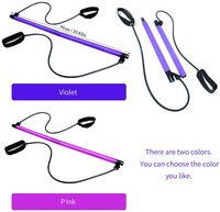 Kit Barre de Pilates avec Bandes de Résistance, Barre d'Entraînement Portable pour Gym à Domicile, Barre de Musculation Pilates, Logo Personnalisé, Vente en Gros