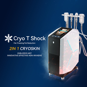 Nouveauté 2025, meilleurs résultats, cryo-amincissement, cryo-tonification, <span class=keywords><strong>appareil</strong></span> Cryoskin Cool Tshock 4.0 - Product Image 1