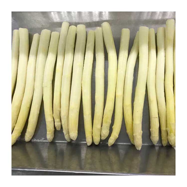 Factory Price 14-17cm IQF Blanched Vegetables Nutritious Frozen White Asparagus for Sale