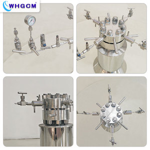 Reactor de Laboratorio de Alta Temperatura ASME CE EPR S316 1L con Control Inteligente PID a Prueba de Explosiones y Temperatura Precisa - Product Image 4