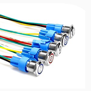 19/22/25/30mm Metal <b>Push</b> Button Switch With Wire 3-6V 12-24V 220V LED <b>Light</b> Momentary Reset Waterproof - Product Image 1