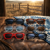 Lunettes de soleil classiques à petite monture unisexe, monture noire, protection UV400, pour myopie, en stock 2026