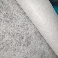 Non-tissé bicomposant PET&PP robuste, meilleure perméabilité à l'air pour matériaux de construction imperméables B150WC