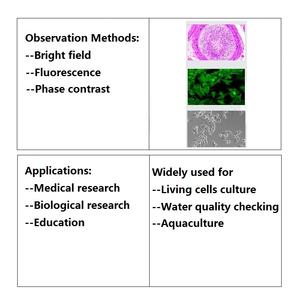 Boshida BD-YGD-2倒立蛍光顕微鏡生細胞培養および医学研究用の位相差顕微鏡 - Product Image 6