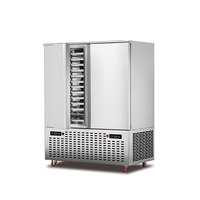 Congélateur vertical industriel de grande capacité pour l'hôtellerie, 10 plateaux, type au sol, ultra-basse température (-45°C à -80°C)