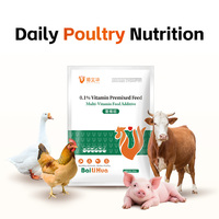 Complément alimentaire pour volailles, prémélange multivitaminé pour favoriser l'utilisation des nutriments