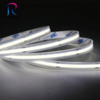 Raymates Bande LED COB 480 puces/m AC110V Extérieur Étanche IP67 12mm CRI 90+ CE ROHS UL Lumière Décorative Garantie 3 ans