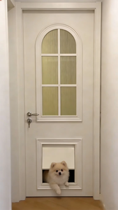 Puerta Francesa Blanca Delicada <span class=keywords><strong>para</strong></span> Perros, Mueble <span class=keywords><strong>para</strong></span> el Hogar, Puerta <span class=keywords><strong>de</strong></span> <span class=keywords><strong>Madera</strong></span> con Vidrio Insonorizado, Protección Contra el Polvo, Gran Oferta - Product Image 3