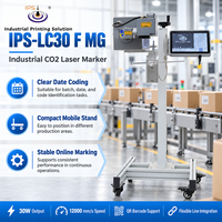 Machine de marquage laser CO2 IPS-LC30 F MG 30W, marqueur laser CO2, machine de marquage du verre, système de code QR 10,6 microns