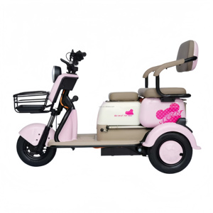 <span class=keywords><strong>2</strong></span>-Zits Opvouwbare Elektrische Trike Met 60V 20ah Stalen Frame En <span class=keywords><strong>3</strong></span> Versnellingen Passagierstrike Met Lood-Zuur Accu Surfvinnen - Product Image 6