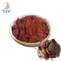 Extraits de plantes naturels purs, extrait de Ganoderma, poudre d'extrait de Reishi, extraits de plantes Ganoderma