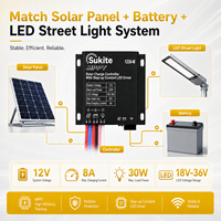 Contrôleur solaire MPPT professionnel Sukite 1230M 12V 8A 30W pour éclairage public, énergie solaire, projet d'éclairage extérieur