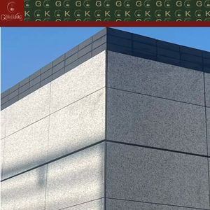 GOLDKING G603 Pavés en granit pour terrasses, jardins sur toits, poli, taille personnalisée, directement de sa propre carrière - Product Image 2