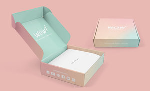 Custom Printing Logo Best Quality Wholesale Gold Foil Stamping Emboss Paper Mailer <b>Box</b> Hotsale <b>Storage</b> Shipping <b>Box</b> - Product Image 1