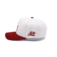 Casquette de baseball personnalisée à 5 panneaux pour papa, motif fruité sportif en popeline, logo brodé 3D, course à pied, sport, homme