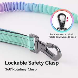 QQPETS Bungee a tracolla guinzaglio per cani regolabile in vita - Product Image 2