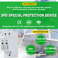 Vente en gros usine – Parafoudre bipolaire T2 DC 1000V avec LED rouge/verte, certifié CE, remplaçable pour système photovoltaïque
