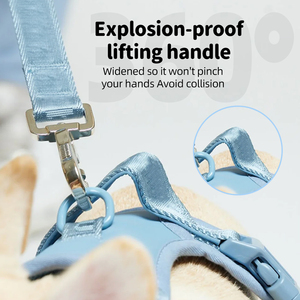 Harnais pour chien personnalisé de luxe, doux, sans traction, avec clip frontal, rembourré et personnalisable, pour chiens de grande, moyenne et petite taille - Product Image 3