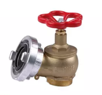 Unique en laiton bouche d'incendie intérieure vanne SNS6565 (afrique du sud type bouche d'incendie. 3 pouces)