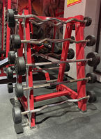 Support de Rangement pour Haltères en Acier Robuste FW 2014 – Équipement de Fitness Commercial pour Salle de Sport – Vente en Gros