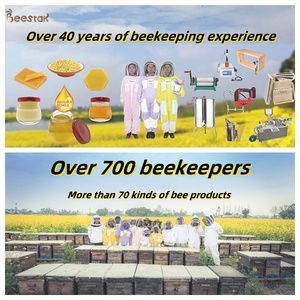 BEESTAR Capsules <span class=keywords><strong>de</strong></span> <span class=keywords><strong>propolis</strong></span> <span class=keywords><strong>de</strong></span> miel <span class=keywords><strong>de</strong></span> qualité alimentaire, capsules molles <span class=keywords><strong>de</strong></span> <span class=keywords><strong>propolis</strong></span> biologique, extrait pur d'abeille, deuxième qualité, sans additifs - Product Image 6