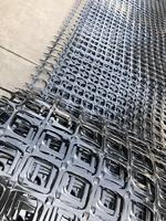Géogrille biaxiale en polymère PP/HDPE à haute résistance à la traction 20KN-350KN pour le renforcement de l'asphalte et le drainage des chaussées