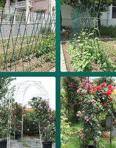 DD1717 jardin feuille connexion boucle grandir cerceaux rangée <span class=keywords><strong>fixation</strong></span> plante couverture filet Tunnel Film pinces serre Clip - Product Image 6