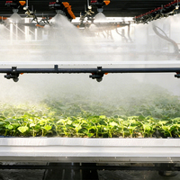 Système de pulvérisation automatique en usine avec contrôle PLC EC pH pour l'irrigation des serres et des pépinières