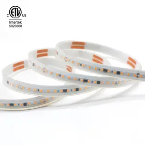 220V 120 LED 2835 SMD Copper Flexible Strip Light IP67 Rated Outdoor Use 12mm 24V Switch Mode Lighting Circuitry Design Home
