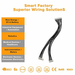 Op maat gemaakte elektrische PTFE-geïsoleerde kabelboomassemblage, fabrieks prijs voor industriële motoren en PLC-automatiseringssystemen - Product Image 2