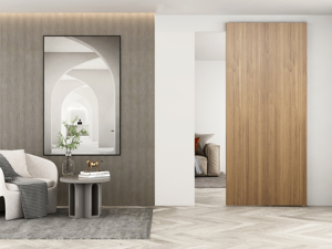 مجموعة أجهزة حديثة من الألومنيوم الفضي بباب واحد من باب الحظيرة ، نظام انزلاق شبح شبح لغرفة النوم ، طراز زخرفي - Product Image 6