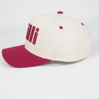 Gorra de Béisbol Personalizada de 5 Paneles, 100% Algodón Twill, Color Blanco Hueso y Rosa Intenso, Bordado 3D, Unisex, Ajustable con Hebilla Simple