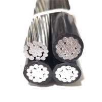 Shuda 0,6/1kV 2x16mm Schwarze Freileitungskabel Verdrillter Leiter XLPE-Isolierung AAC/AAAC/ACSR Leitermaterial XLPE-Mantel
