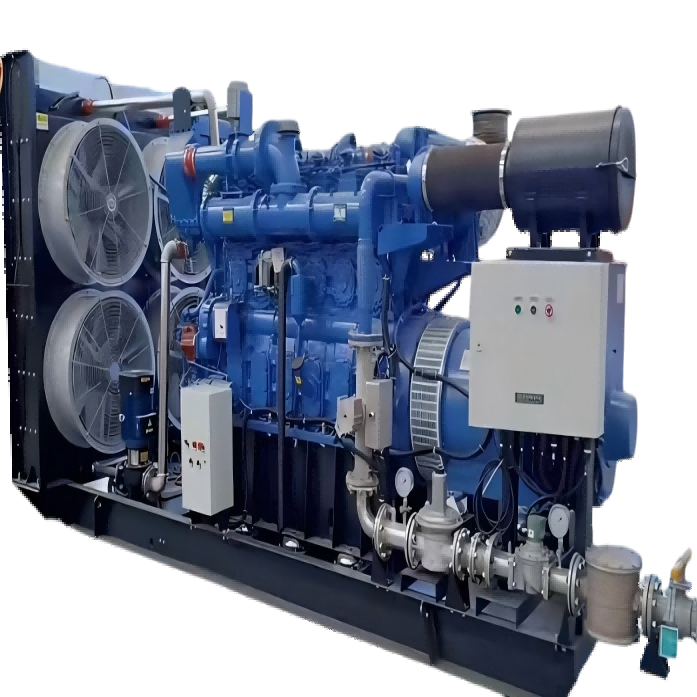 LPG Biogas Natural Gas Generator for