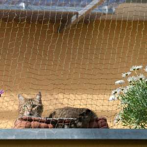 Offre Spéciale 3*8m balcon sécurité <span class=keywords><strong>chat</strong></span> <span class=keywords><strong>filet</strong></span> balcon <span class=keywords><strong>chat</strong></span> sécurité anti-chute <span class=keywords><strong>filet</strong></span> de <span class=keywords><strong>protection</strong></span> - Product Image 6