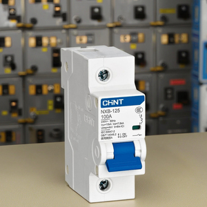 เบรกเกอร์วงจรขนาดเล็ก NXB-125 RCBO MCB ทองแดง 1P 2P 3P 4P กำลังตัด 10kA กระแสไฟ 25A ติดตั้งบนราง C80 C100 C125 - Product Image 6