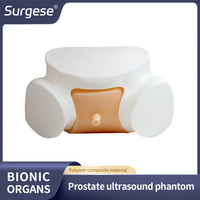 Falso paciente de entrenamiento para ultrasonido prostático con sonda convexa transrectal compatible con recto, vejiga y vesícula seminal para biopsia
