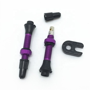 <span class=keywords><strong>Valve</strong></span> de vélo sans chambre à air, <span class=keywords><strong>valve</strong></span> pour <span class=keywords><strong>VTT</strong></span>, vélo de route, BMX, valves sans chambre à air pour systèmes Tubeless Ready - Product Image 5
