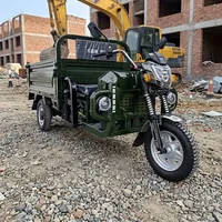 Tricycle électrique à 3 roues à couple élevé, faible entretien, anti-usure, silencieux, couleurs vertes, pour le transport de légumes sur les marchés