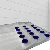 Sac BIB Aseptique Transparent sur Mesure 3L 5L 10L 20L avec Bouchon Stérile Transparent pour l'Emballage de Liquides, Œufs, Boissons et Huiles