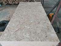 Exportation chaude de panneau du contreplaqué 4x8 Osb3 de 9.5mm 11.1mm OBS vers le Chili Etats-Unis et Canada