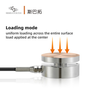 Flexible Plane Force Sensor For Ergonomic Surface Pressure Mapping And Soft Contact Force Distribution Analysis - Product Image 2